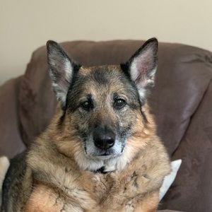 Meet your Posher, Peyton